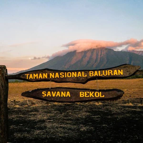 taan nasional baluran